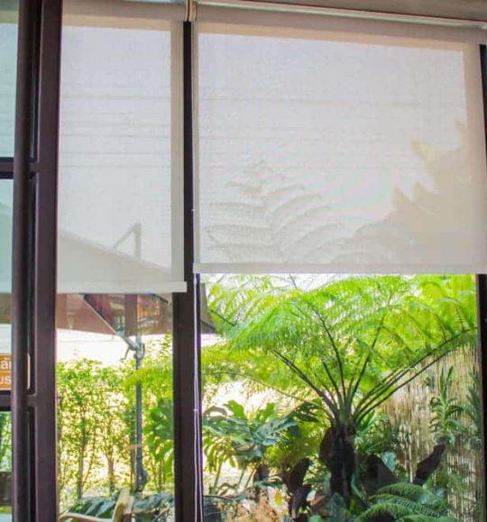 White Roller Blinds — Door & Window Furnishings in the Northern Rivers